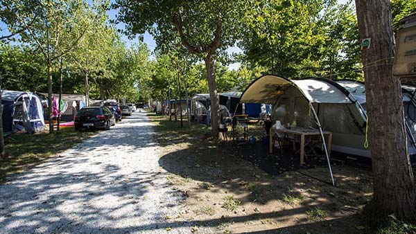 piazzole tende da campeggio alberate in campeggio in Versilia