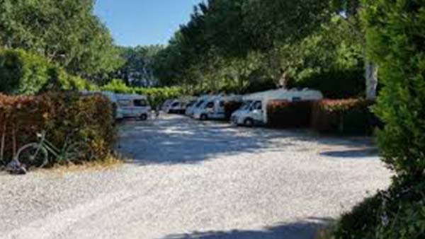 Camper parcheggiati all’ombra in area sosta Il Serchio