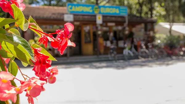 ingresso Camping Europa con insegna e area reception