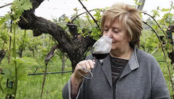 Degustazione di vino tra le vigne della Valpolicella