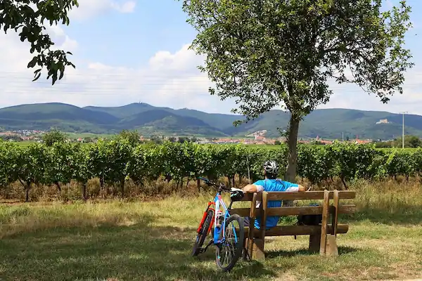 Parco immerso nella natura per soste o picnic
